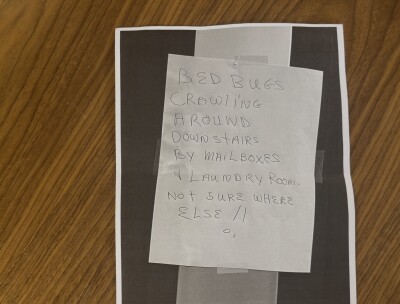 Bed bug sign