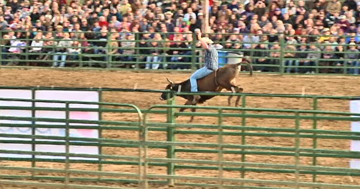 Tickets for popular Poly Royal Rodeo go on sale Wednesday