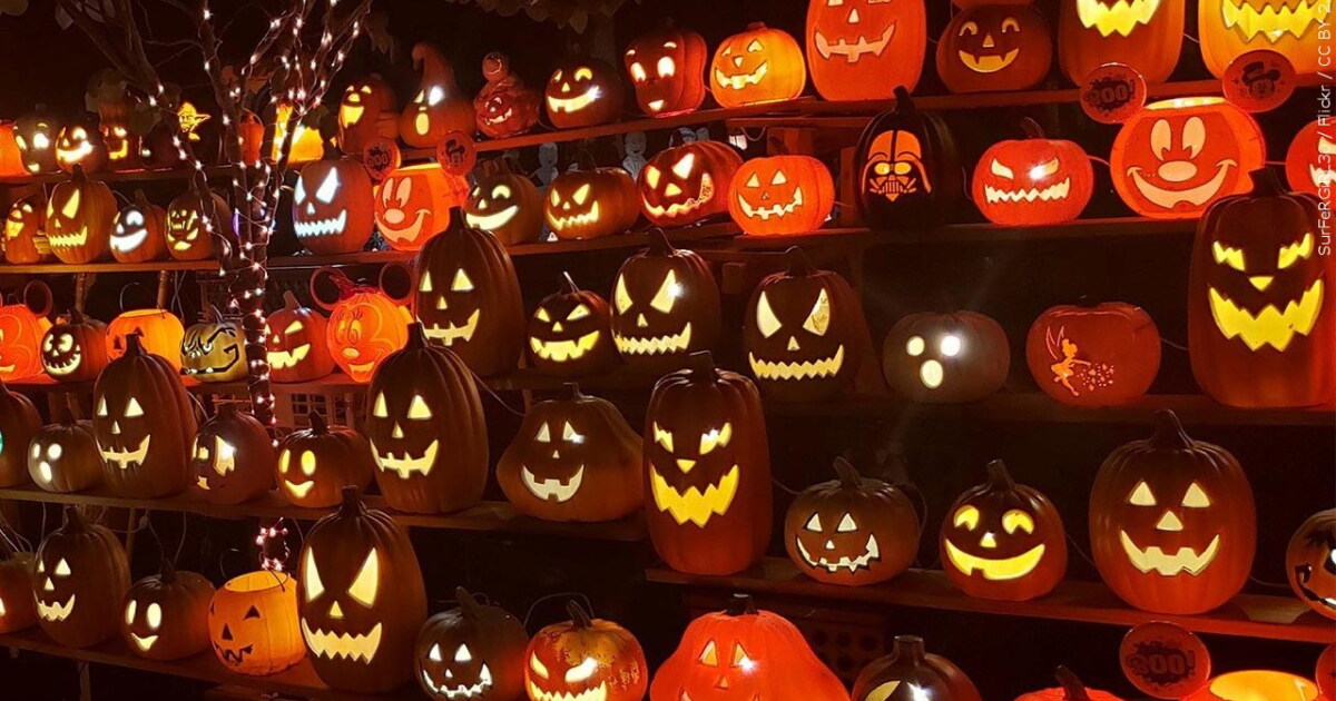 Halloween and sex offenders: What you need to know - Vimarsana News