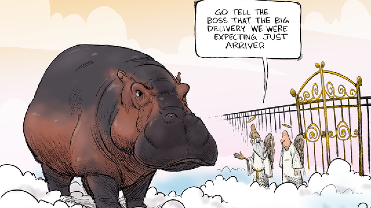 Cartoon All Hippos Go To Heaven