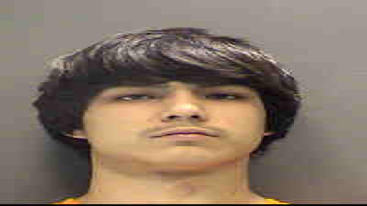 PHOTOS: Check out 100+ mug shots from Tampa Bay