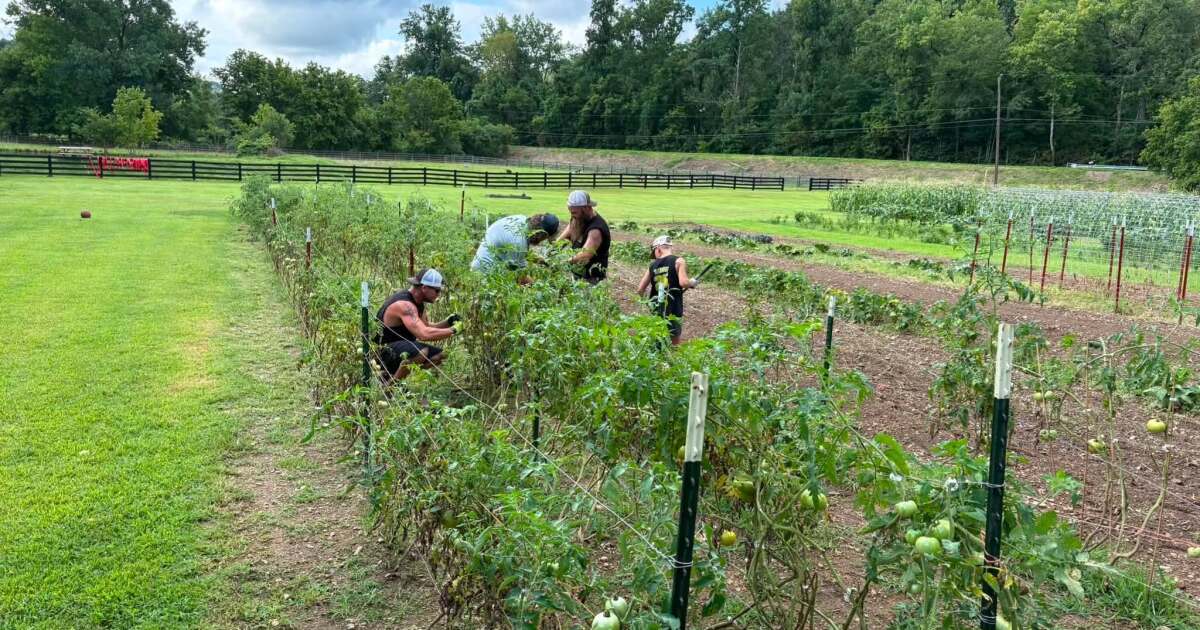 Redstone Federal Credit Union to award $750K in grants to Middle Tennessee nonprofits
