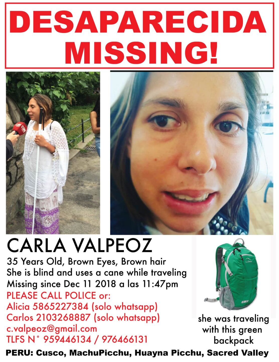 Carla Valpeoz Missing english-01.jpg