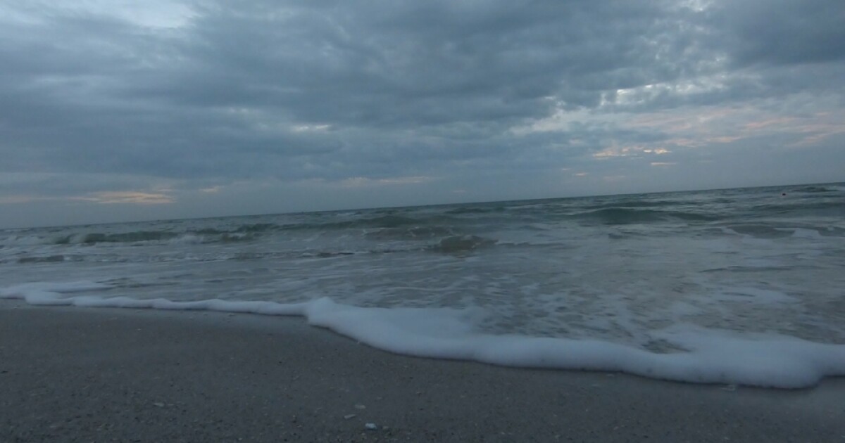 Fwc Report Red Tide Not Present On Florida Beaches