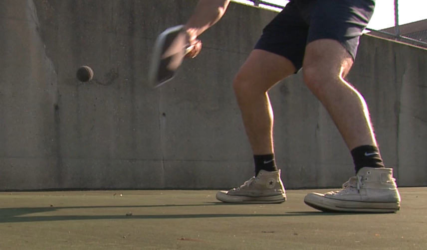 accel digital solutions quiet pickleball