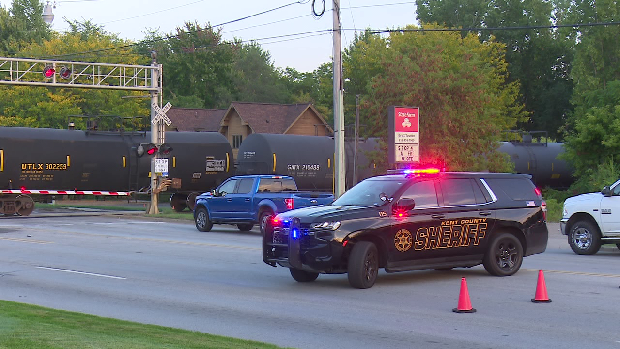 Pedestrian hit by train