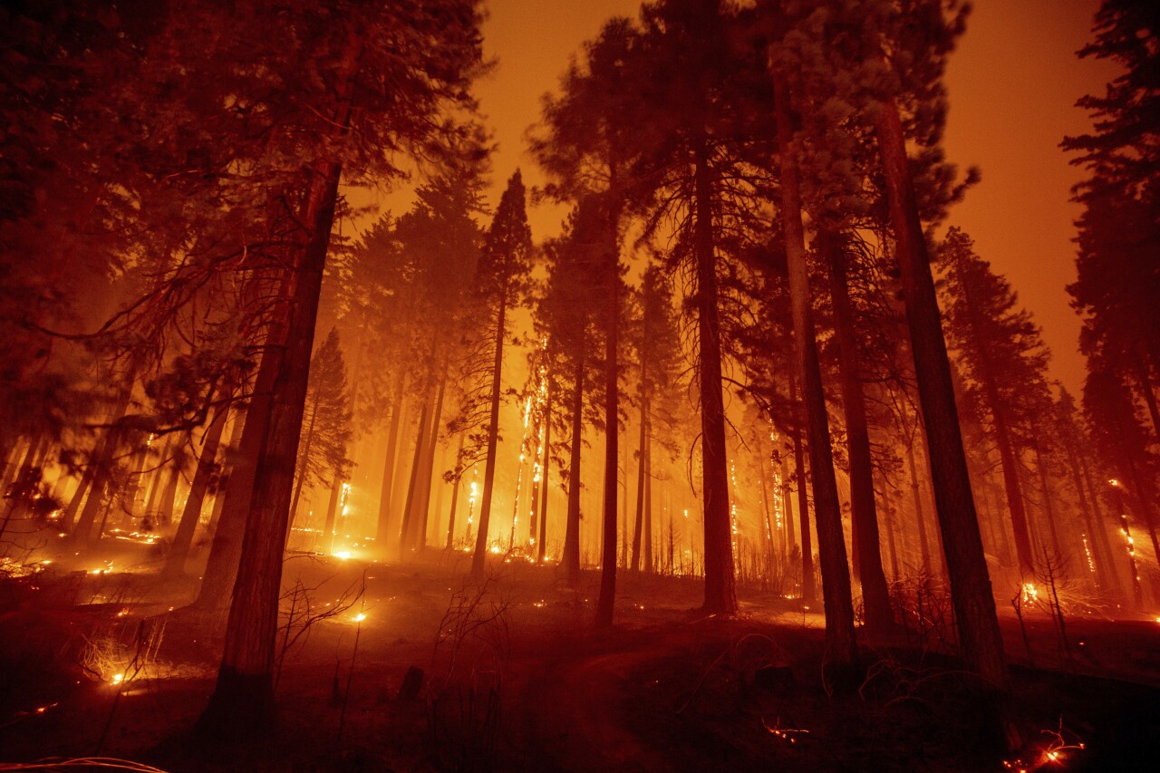 California Western Wildfires