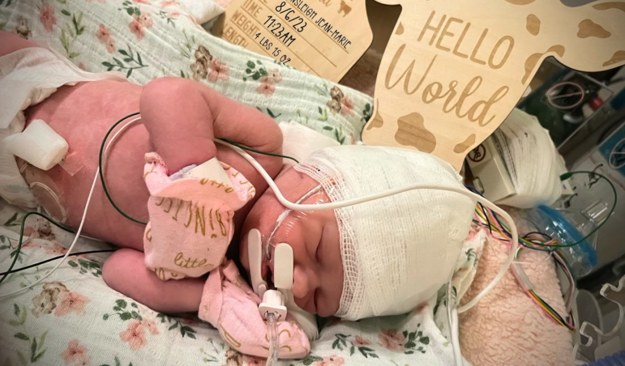 Screenshot 2023-08-28 164947.png