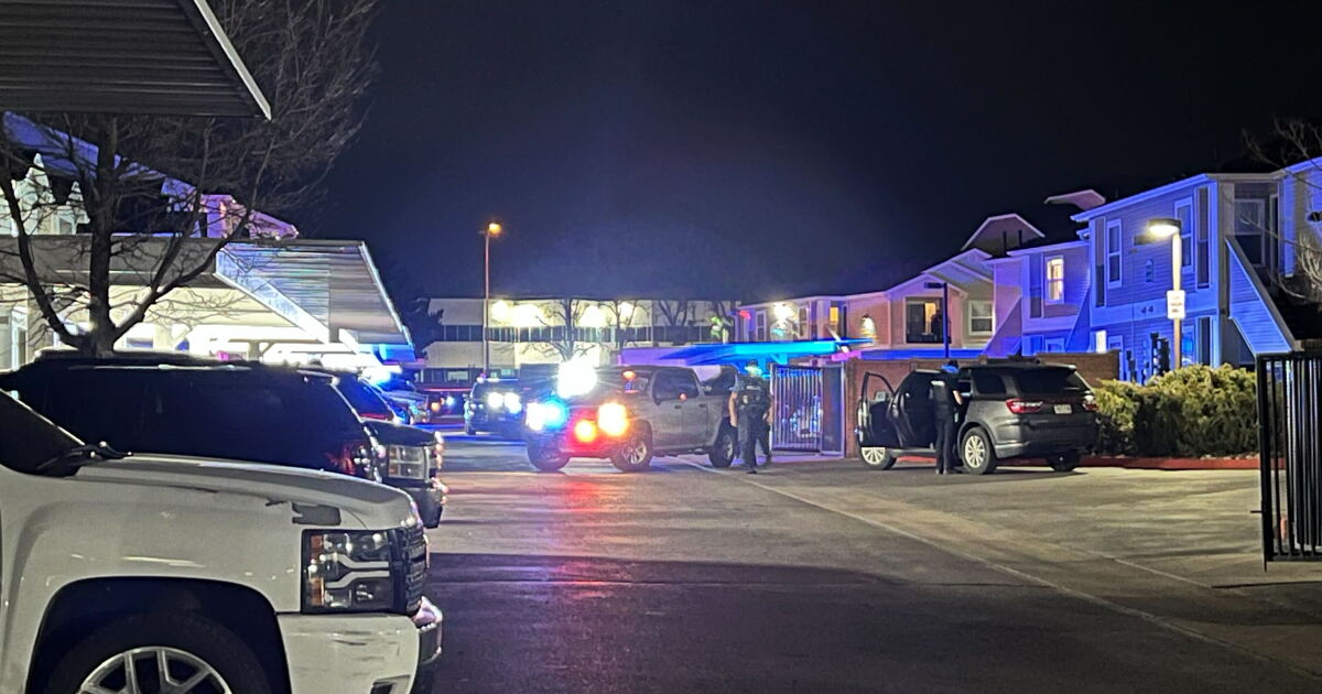 CSPD arrests one man following reports of a stabbing on Friday night