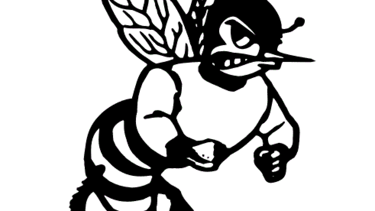 Lafayette softball falls in Class 1A State Semifinals