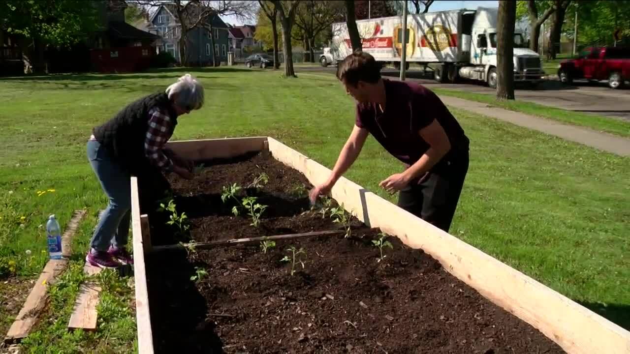 Poster image - 2021-07-07T190724.811.jpg