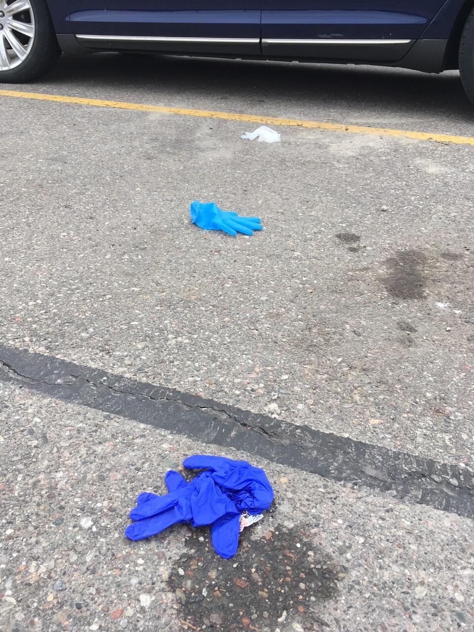 Kroger gloves 1.jpg