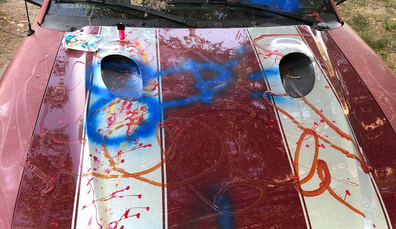 stevi vandalism2.jpeg