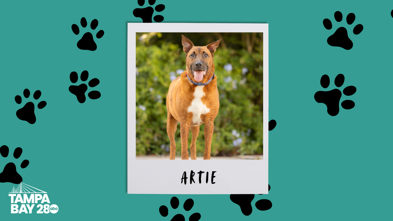 Artie