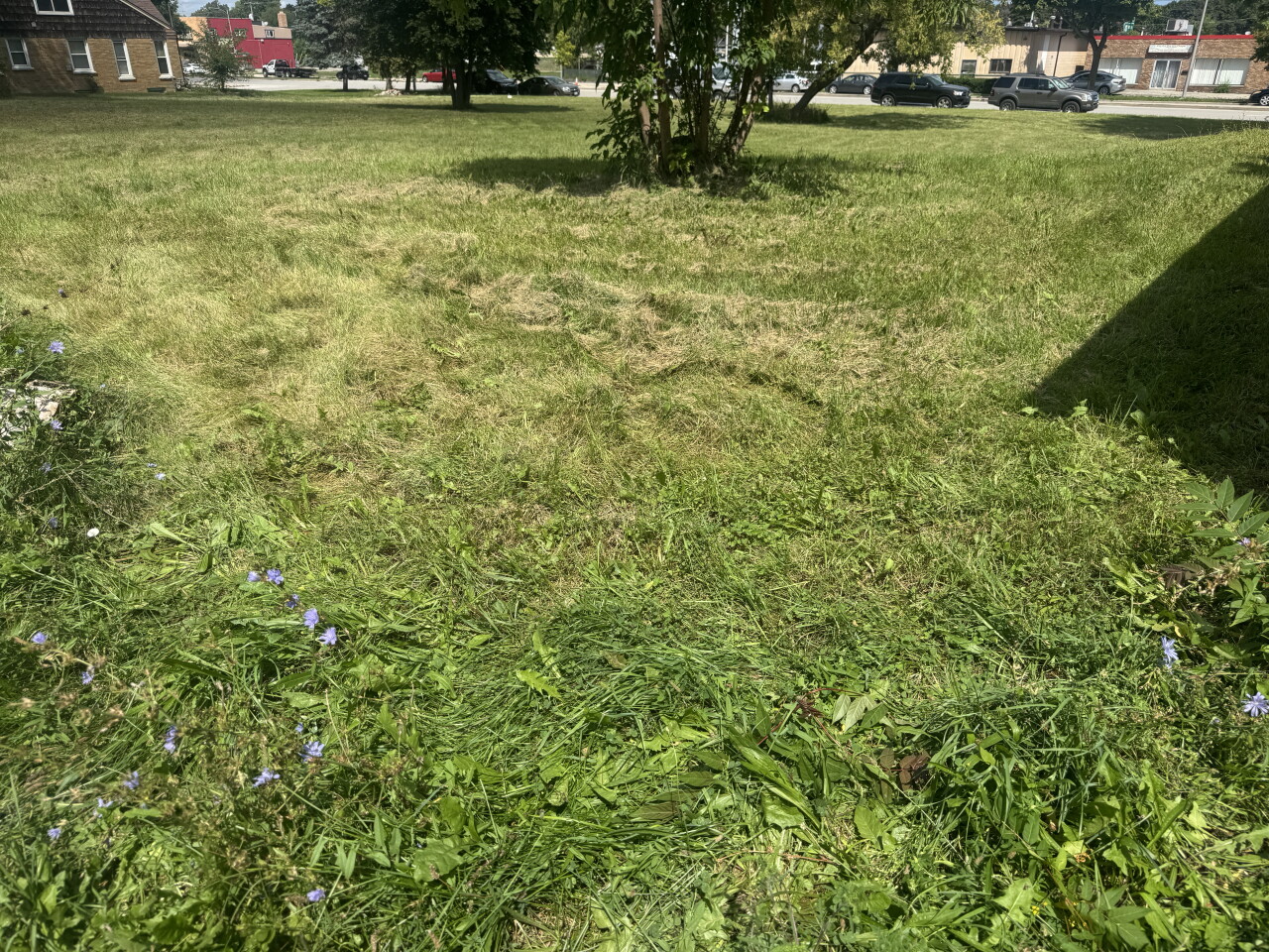Tires removed thanks to volunteers