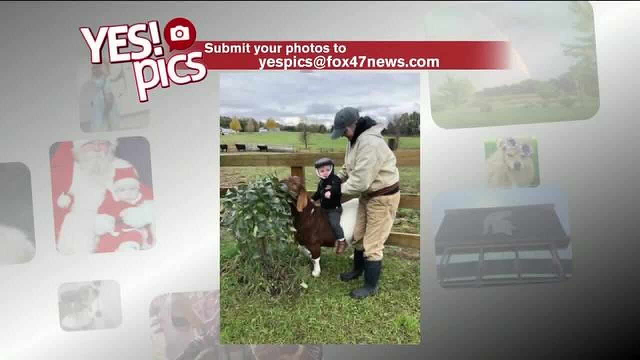 Yes! Pics: 11/12/18
