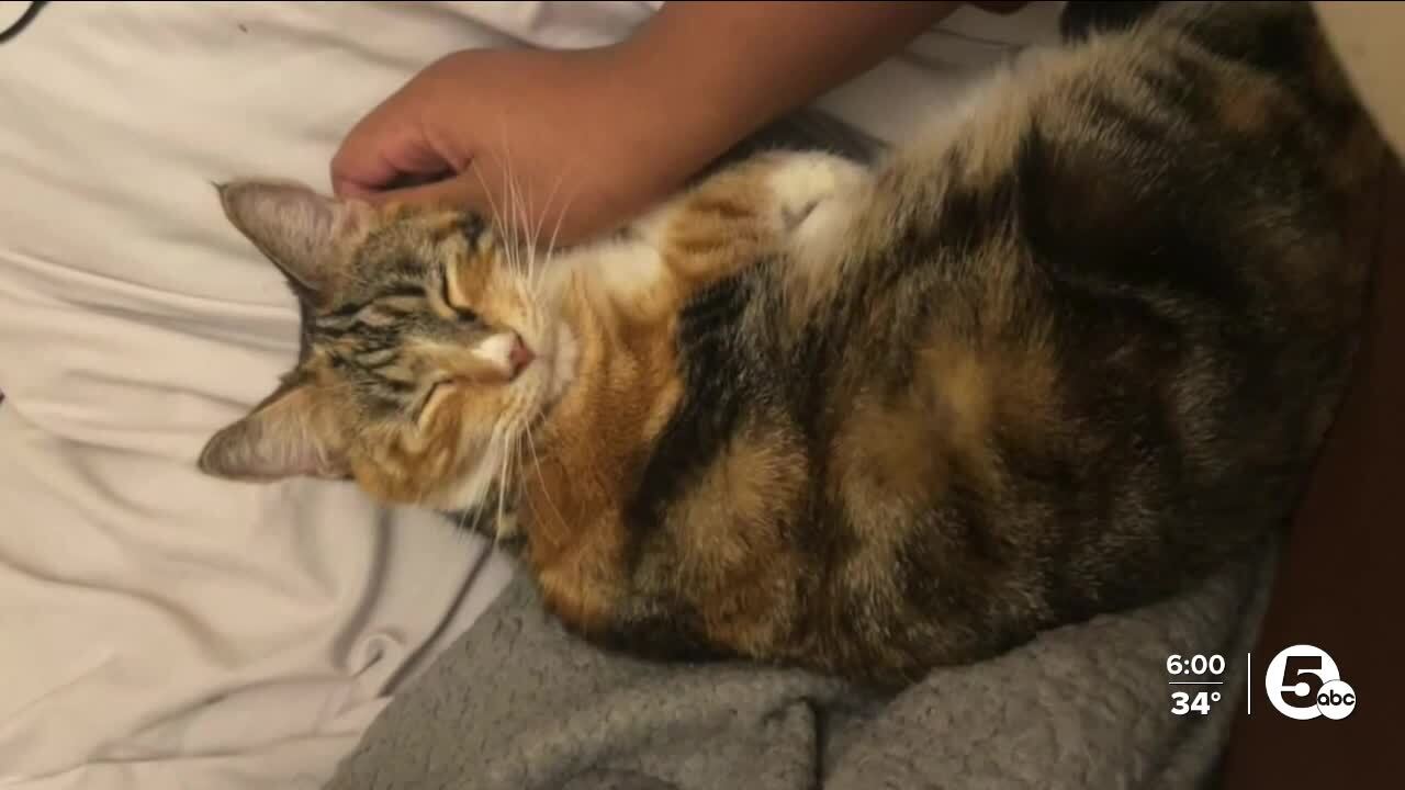 Poster image - 2024-01-29T185023.168.jpg