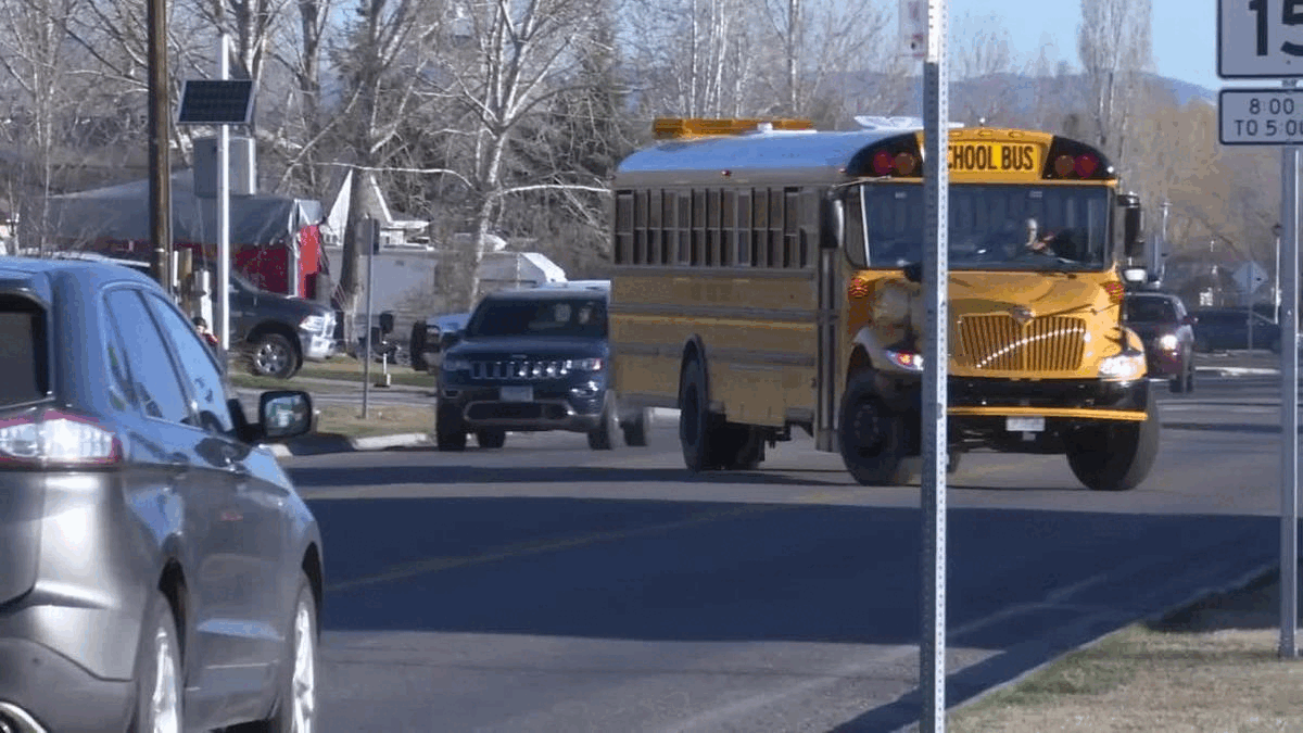 belgrade school zone.gif