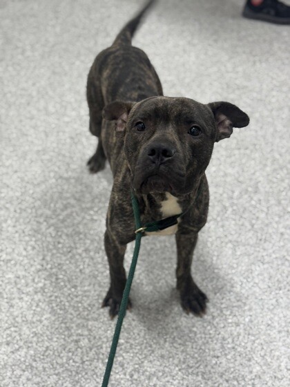 Captain Fantastic 3.jpg