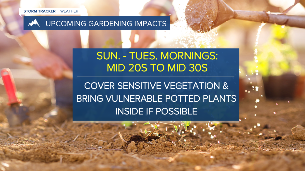 Garden Impacts