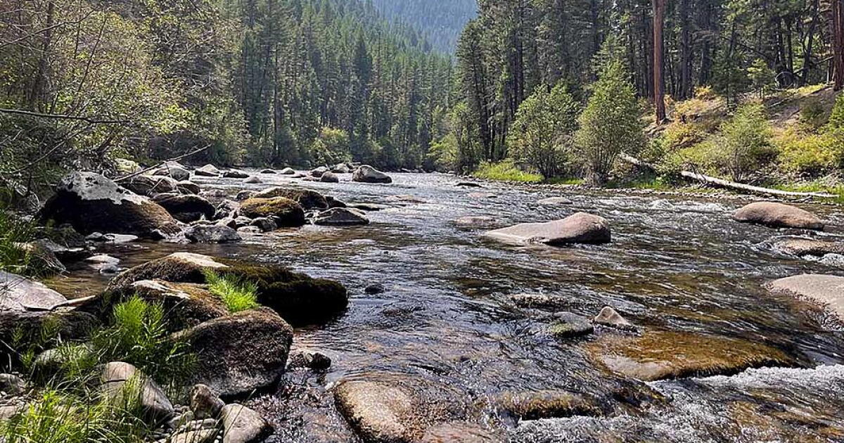 Project looks to bury Rock Creek powerlines to reduce fire risk - Vimarsana News