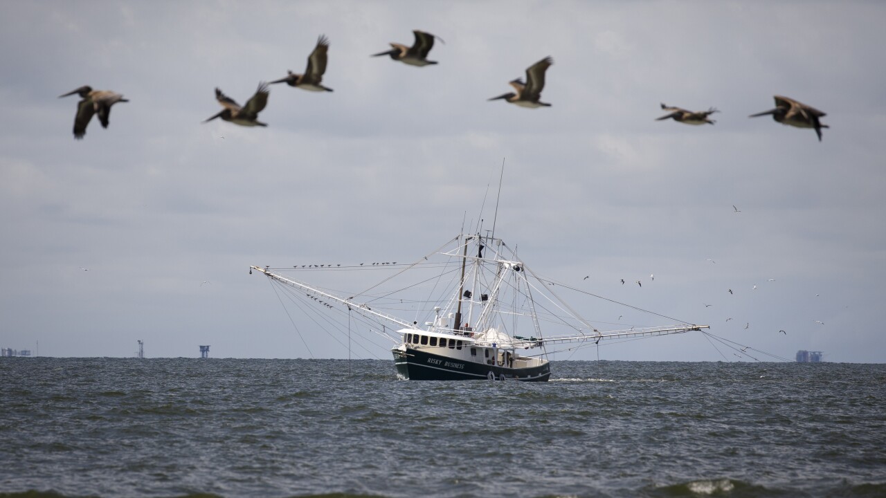 Combination Of Rising Sea Levels And Subsiding Land Endanger Louisiana Coast