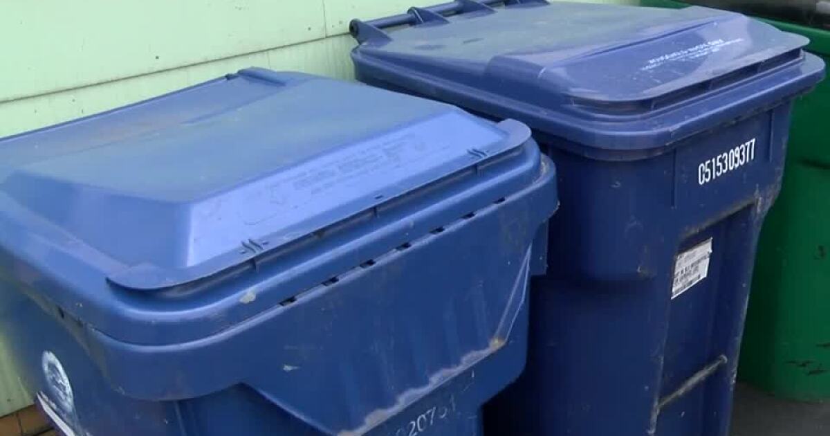 Buffalo Neighbors See Increase In Garbage Totes Big Garbage Day Buffalo 2022
