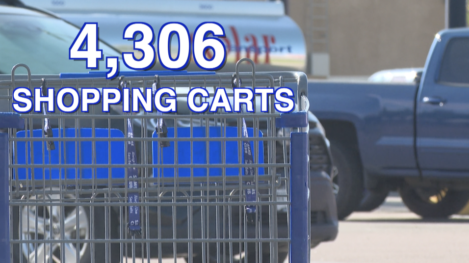 Pueblo Shopping Carts