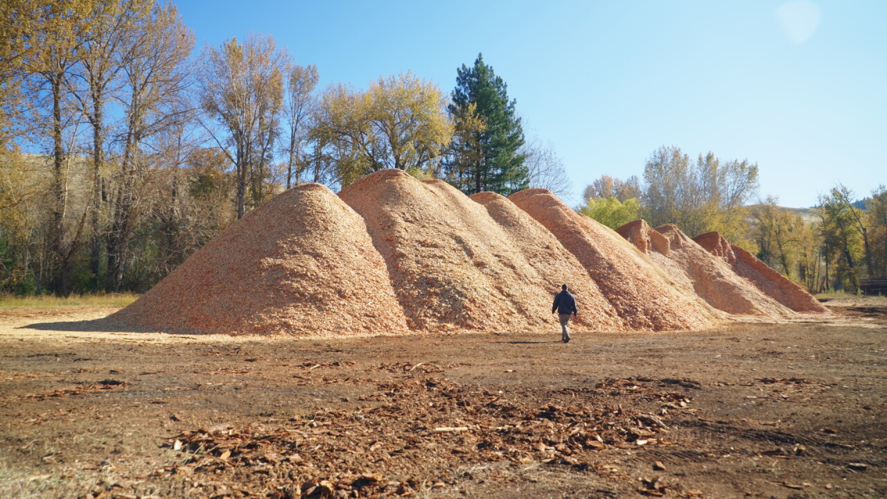 biomass darby