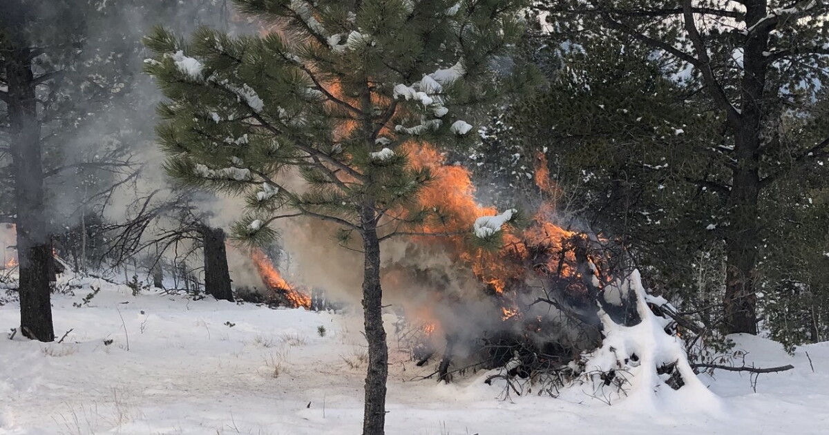 See smoke, don't fear, prescribed burns planned for the Fort Carson area - Vimarsana News
