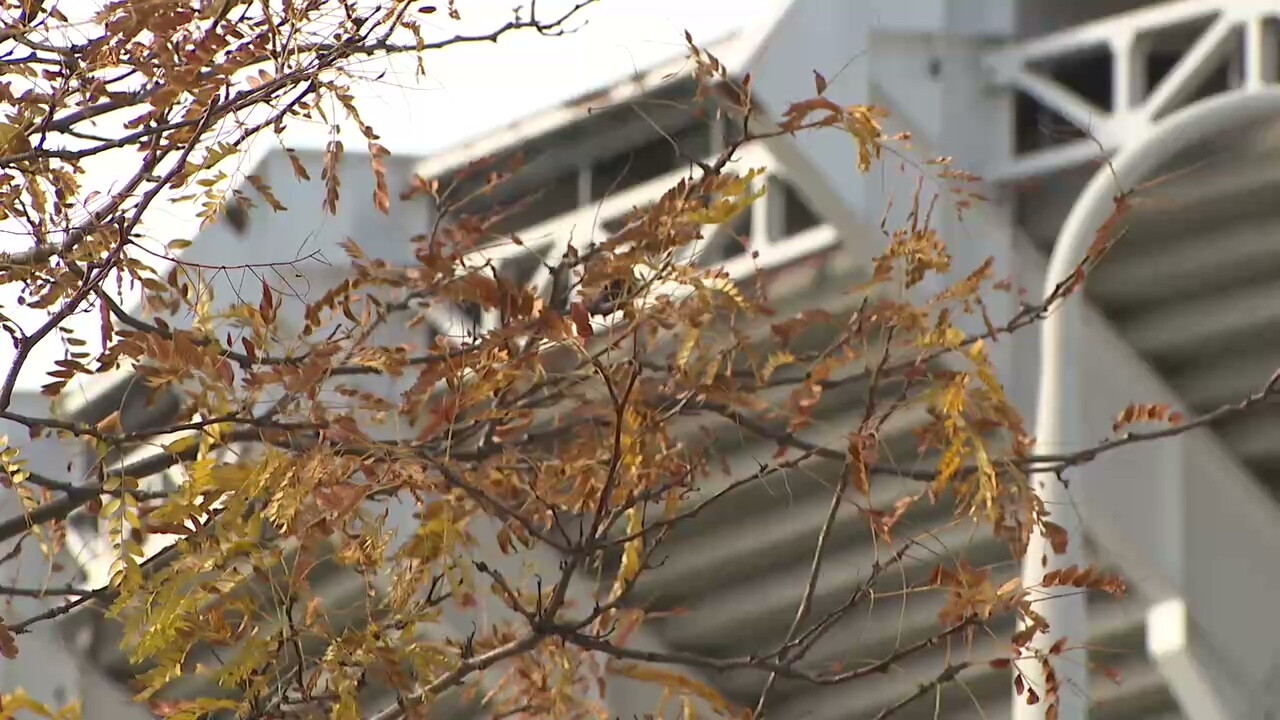 The Cleveland Browns plan to leave Huntington Bank Field in early 2029 for a new, enclosed stadium in Brook Park.