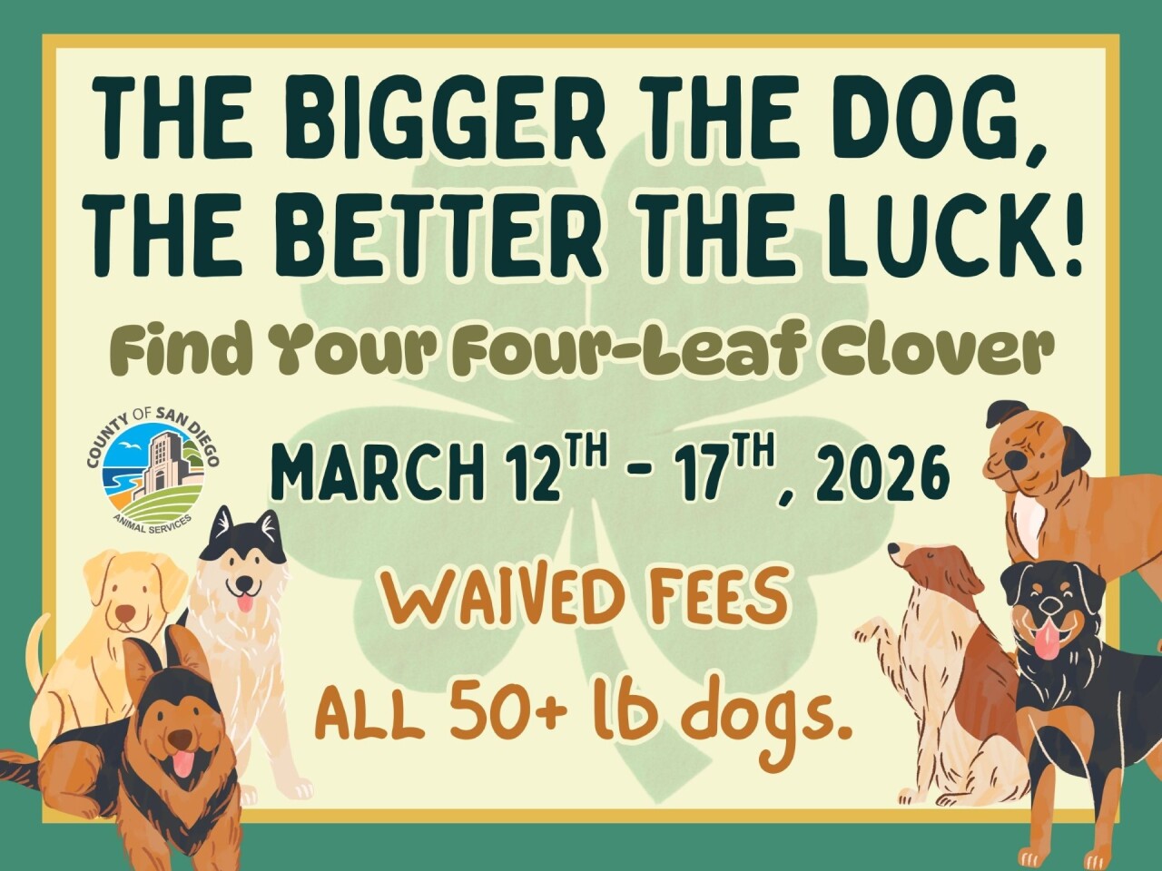 Adoption Special.jpg