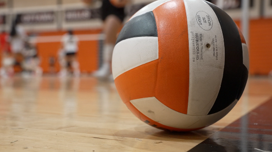 ottawa hills volleyball 1.png