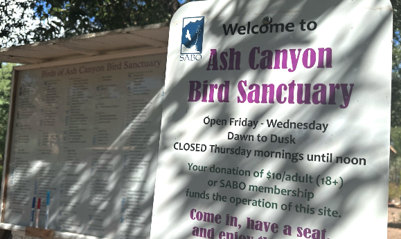 Flocking together to support Hummingbird research, tracking in Sierra Vista