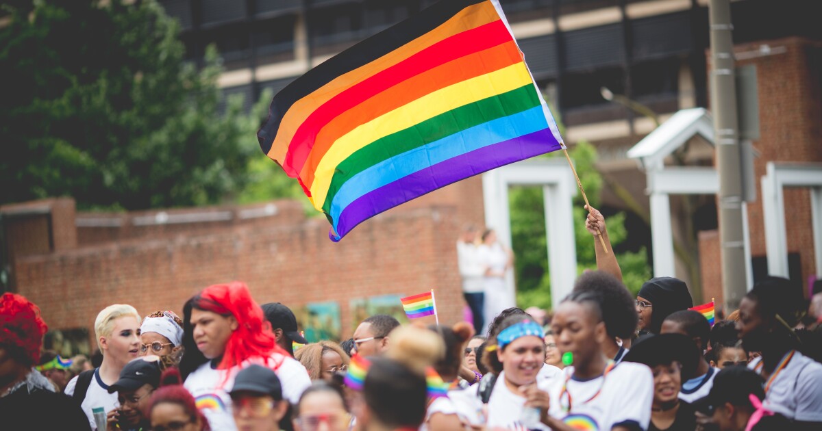 Pride flags take different forms to represent different groups