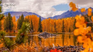 CHRISTINA MCKINNON PHOTOGRAPHY_FALL.jpg