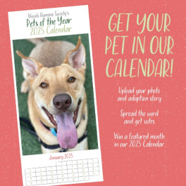 Screenshot 2024-07-01 150922.png