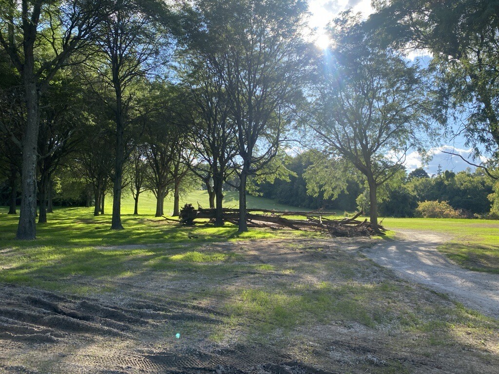 golfcourse.jpeg