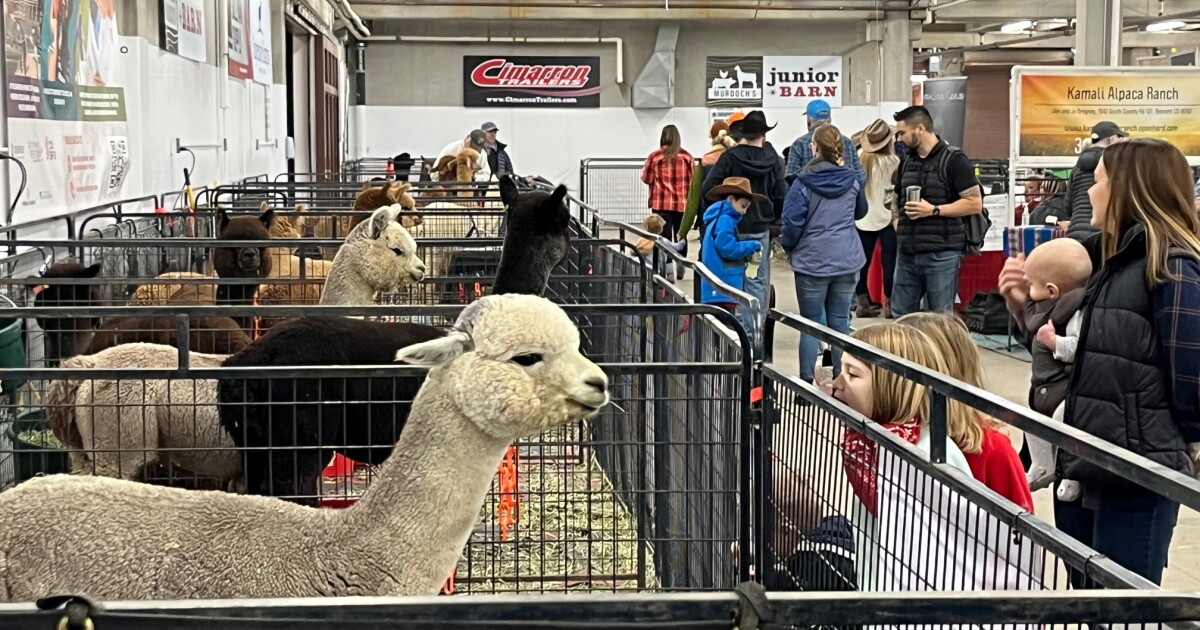 118th National Western Stock Show expansion provides support for local economy - Vimarsana News