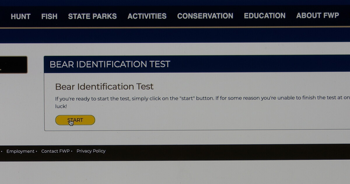FWP Bear Identification Test is only available online now - Vimarsana News