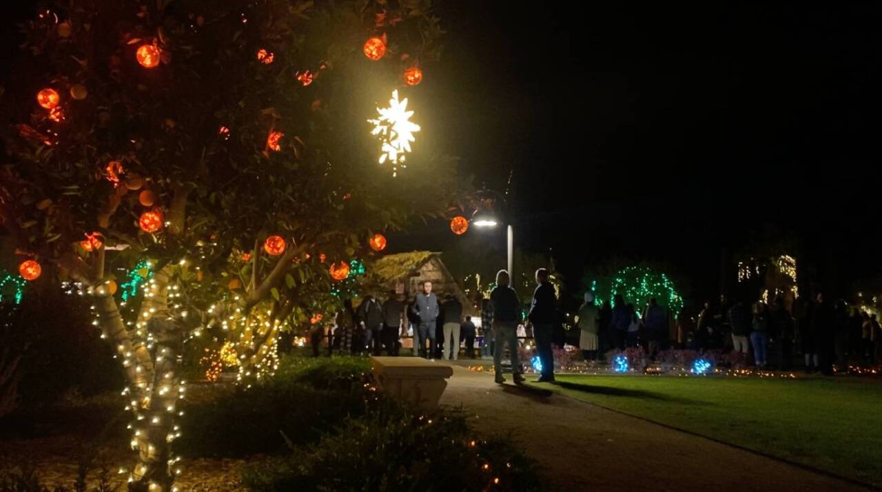 With flowers, trees, and several illuminated pathways… the Mesa Temple returns for its 40th year of Christmas Lights.