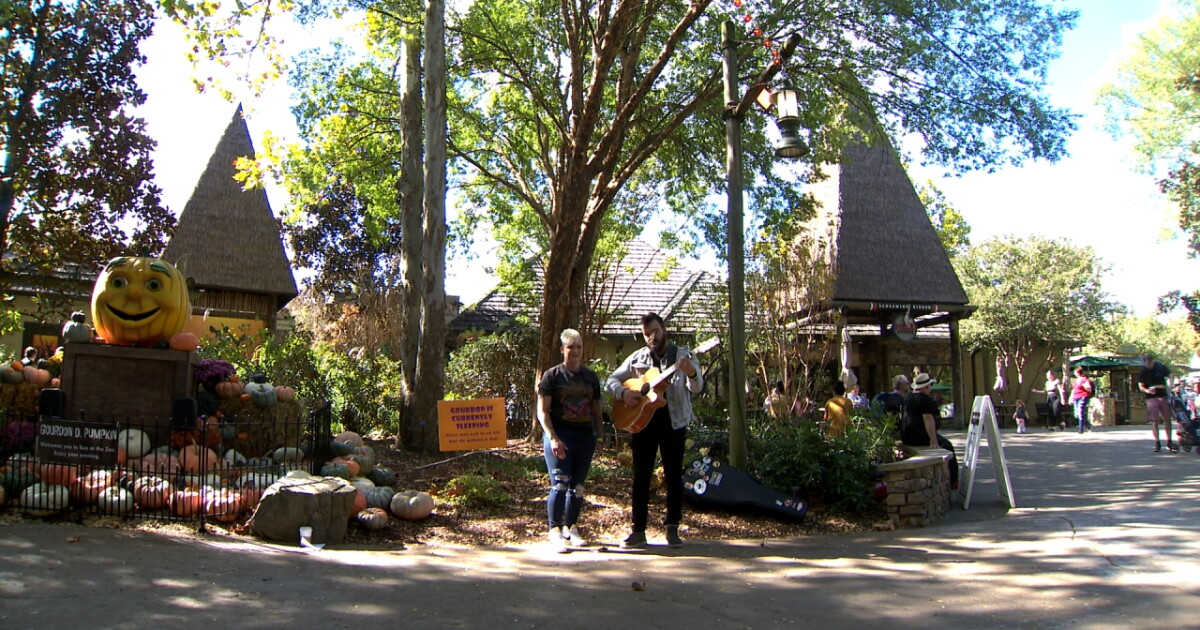Music festival for independent artists held at Nashville Zoo - Vimarsana News