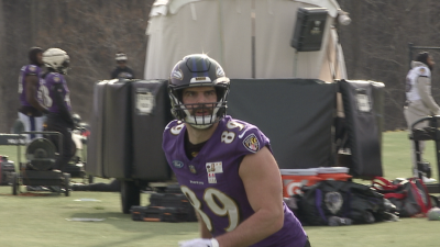 Mark Andrews