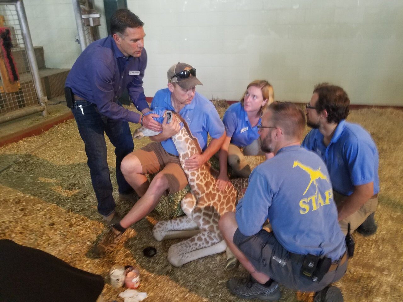 Bob Chastain and staff with Penny the Giraffe