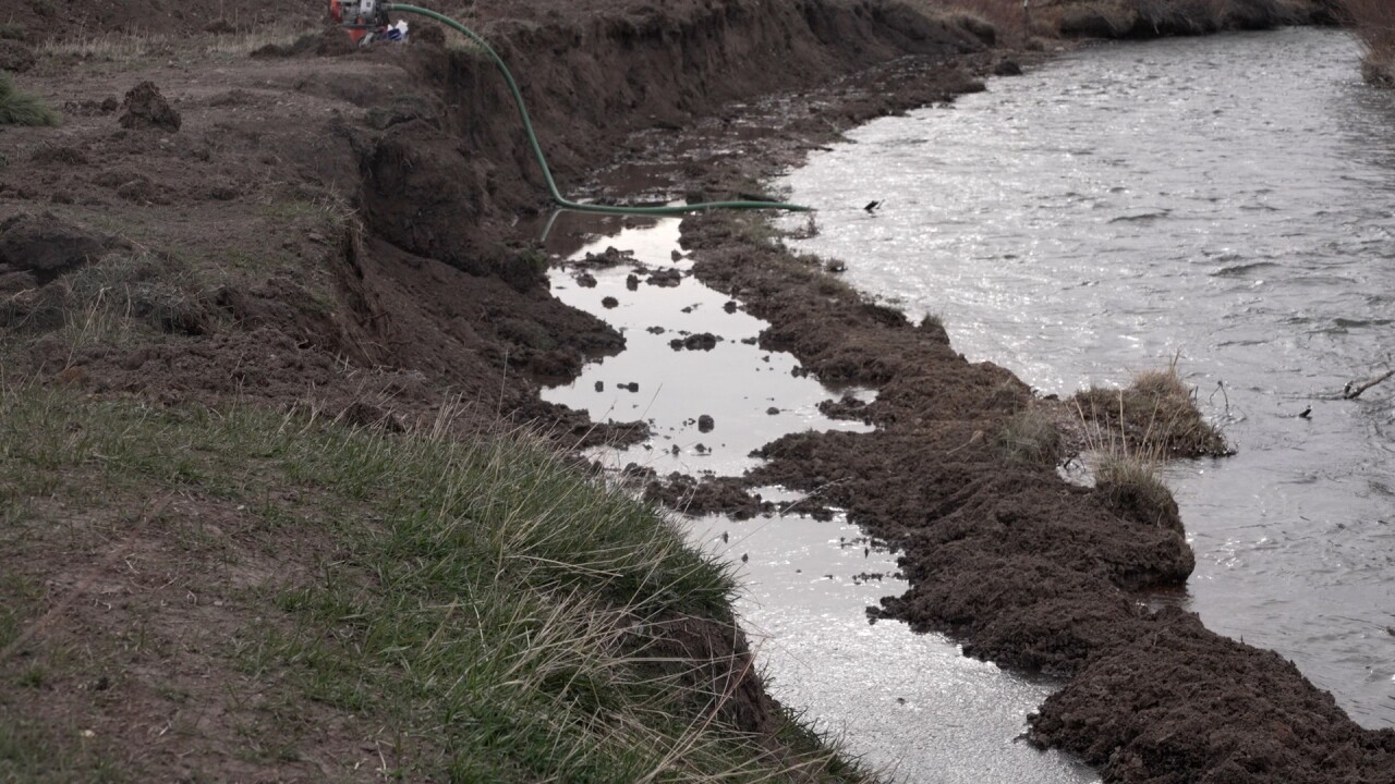 Riverbank before shot