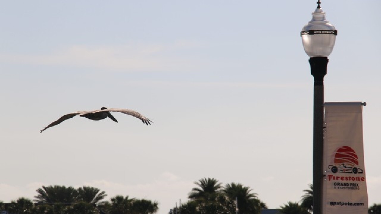 PHOTOS: St. Pete Grand Prix