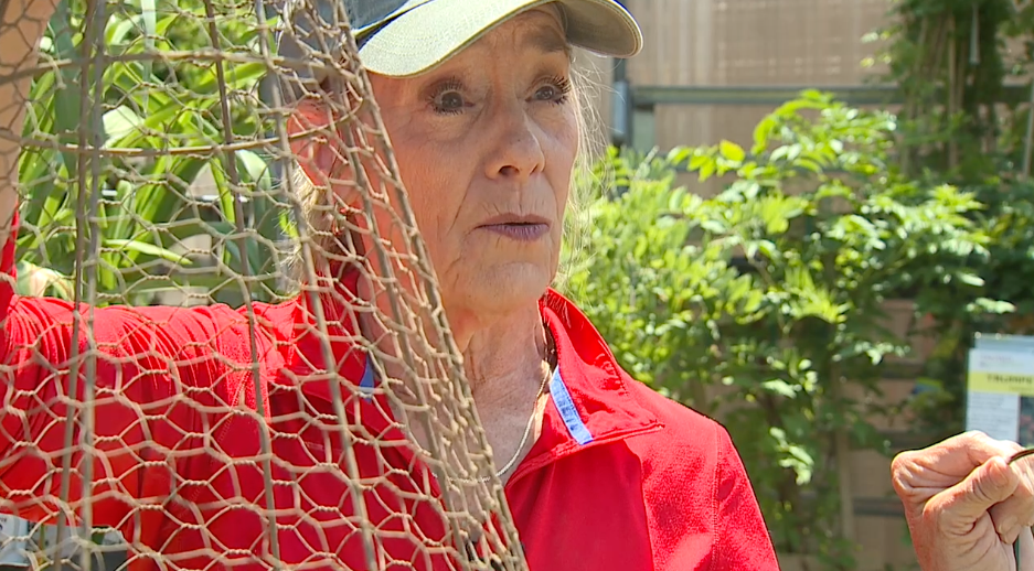 grasshopper cage.png