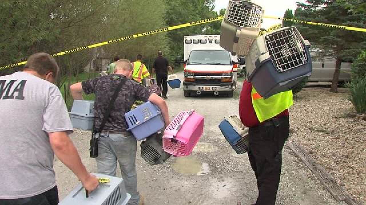 PHOTOS: 14 cats, 3 dogs pulled out of house
