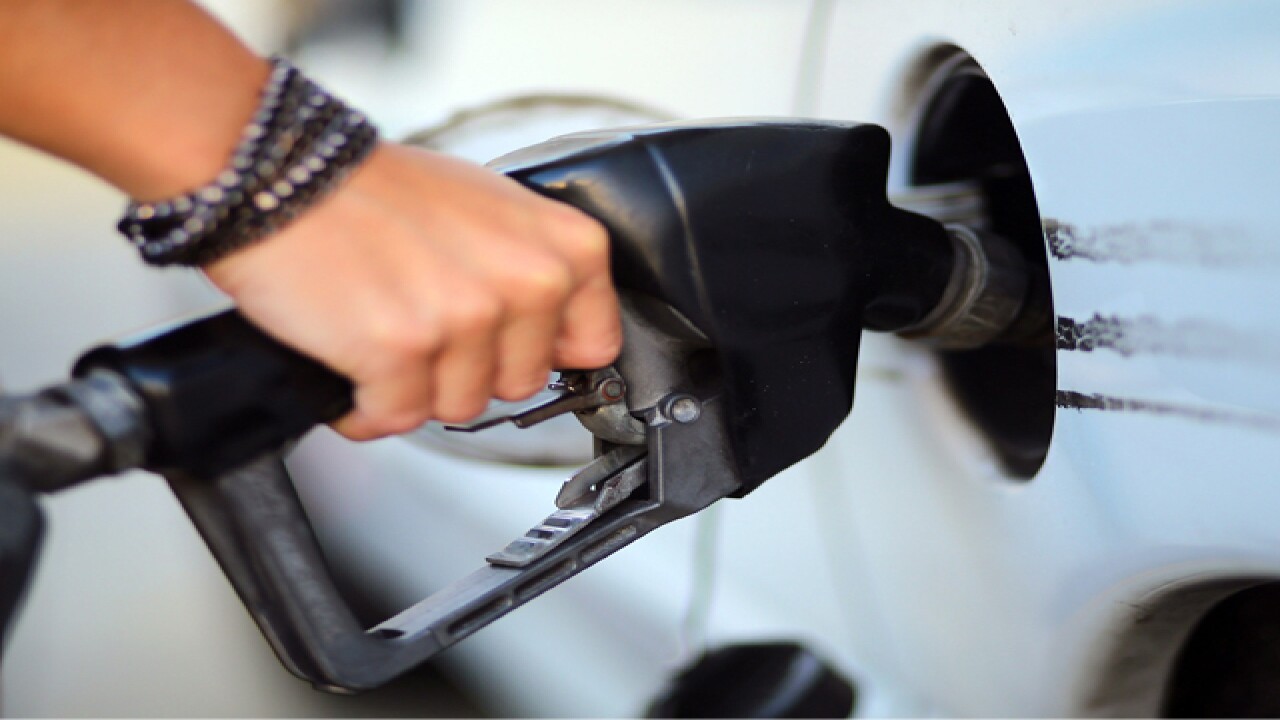 Pain at the pump: AAA says gas hits 20 month high