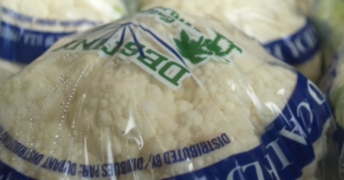 Cauliflower rises to #2 crop in Santa Barbara County - Vimarsana News